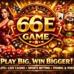 66E Game