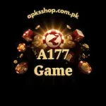 A177 Game