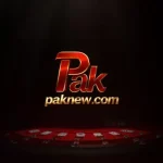 PAKNEW Game