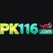PK116 Game